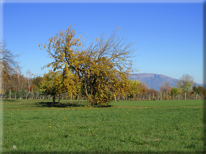 foto Alle pendici del Monte Grappa in Autunno